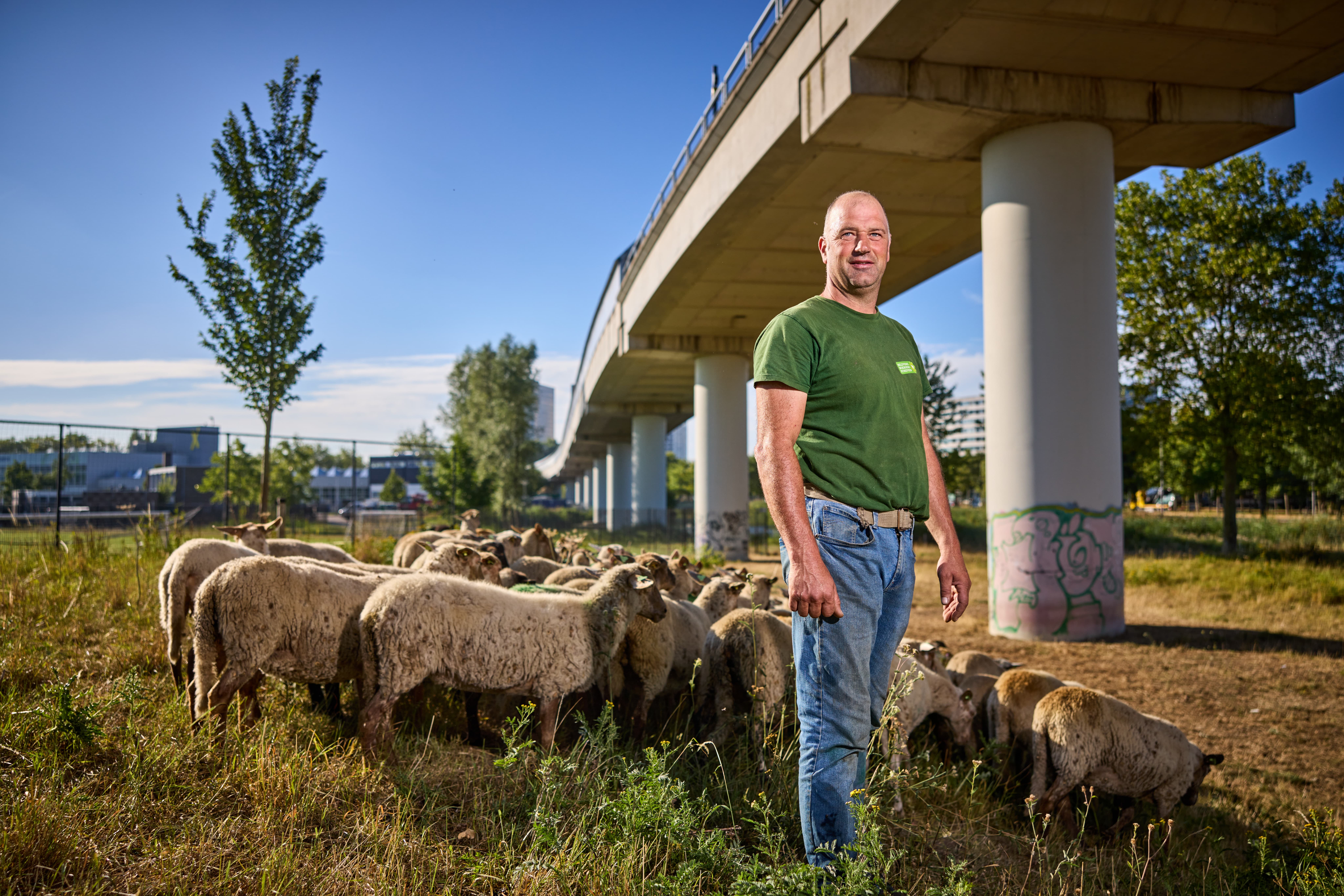 Foto van herder Martin Oosthoek met schapen