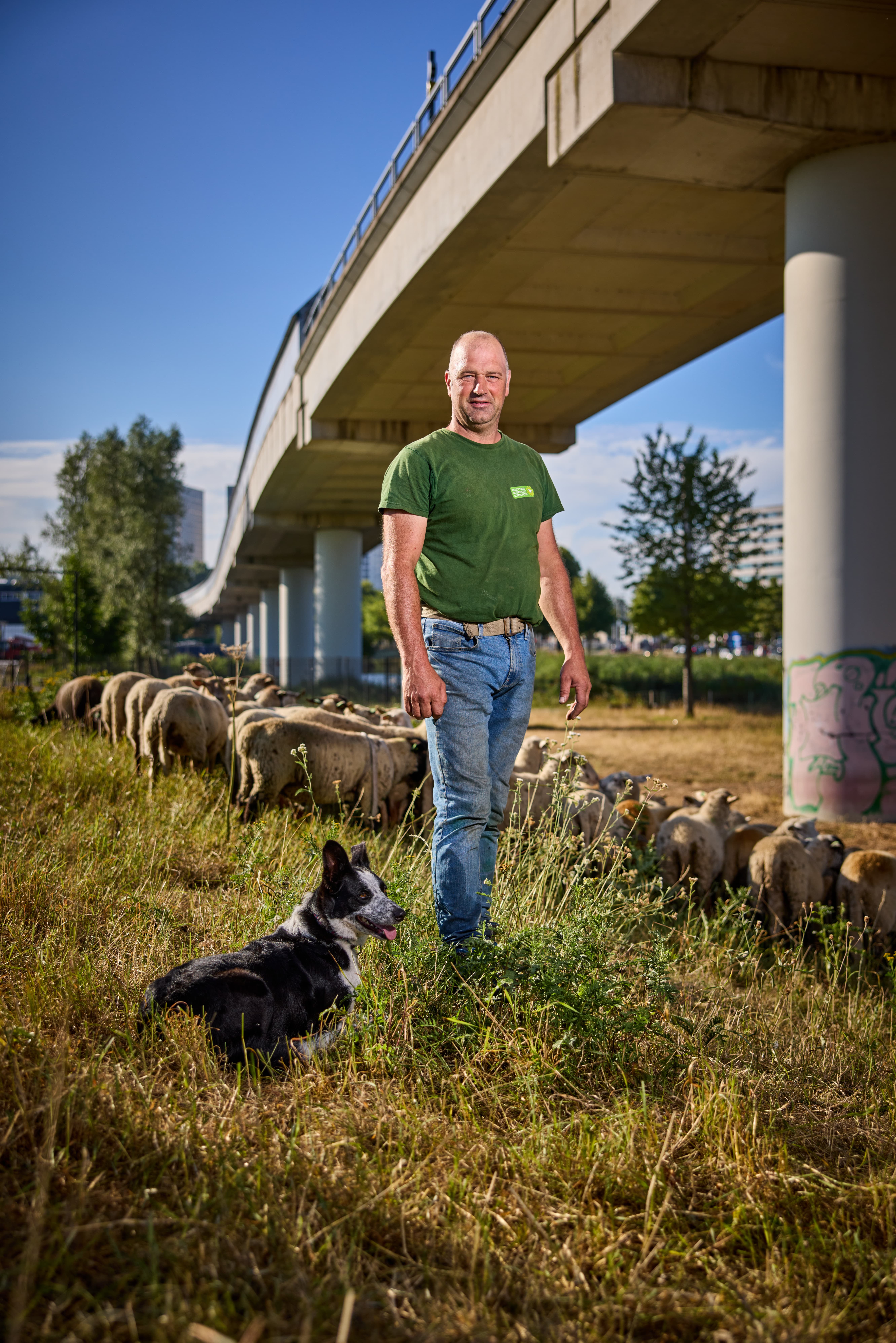 Foto van herder Martin Oosthoek met een hond en schapen