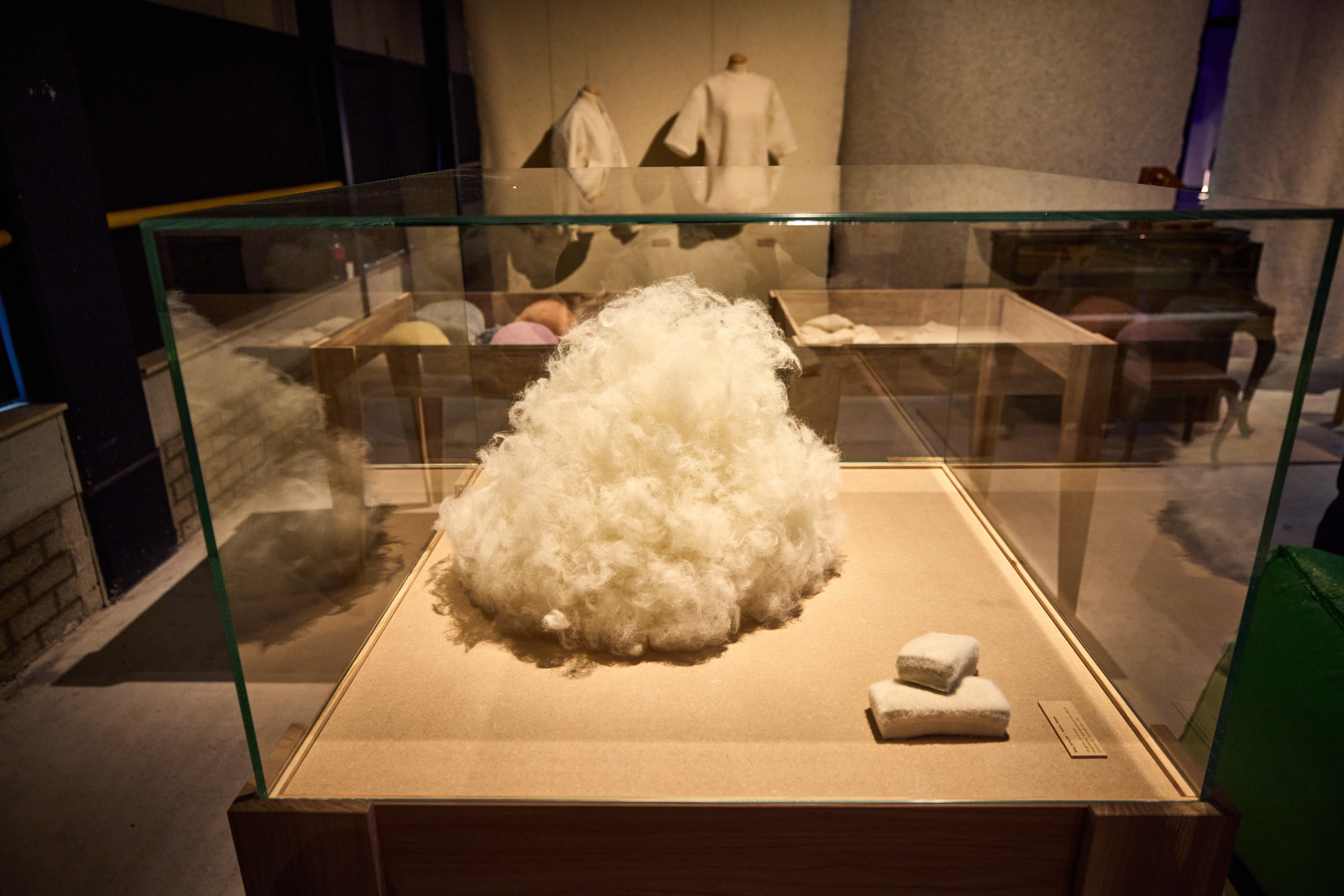 foto van wol op de tentoonstelling